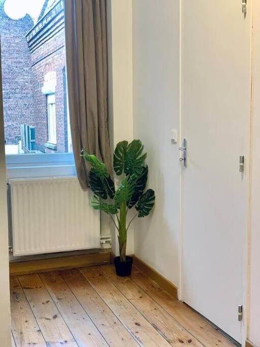 Maison 3 Chambres - 600M Metro Marbrerie - Lille Mons-en-Baroeul المظهر الخارجي الصورة